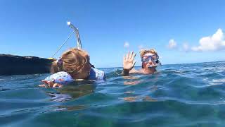 MahuKona Beach park Snorkeling [upl. by Bernt]