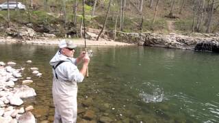 Trout Fishing West Virginias Elk River [upl. by Anerev]