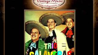 Trio Calaveras  El Hijo Desobediente Corrido VintageMusices [upl. by Selym]