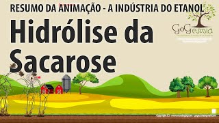 Hidrólise da Sacarose  Como a sacarose é dividida em glicose e frutose [upl. by Aenad]