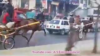 Tanga Horse Race 2024 Chahat VS Majajan Ghori Full Race Video 31122023 Taxila Rawalpindi Chahat Wi [upl. by Anum]