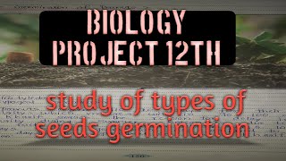 study of different types of seed germination  biology project 12th class [upl. by Hsac]