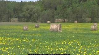 Žiūronių kaimo kapela Alytaus raj Vadovas AVitkauskas 2011 video Kęstutis Krivas [upl. by Ahsuatan]