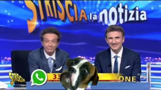 YTP  Striscia la tizia Ficone e Picarra sanno fare cose [upl. by Blake]