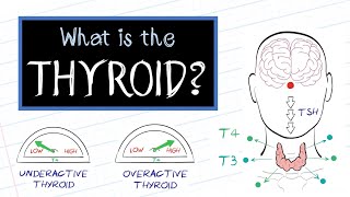 What is Thyroid Disease HealthSketch [upl. by Savior]