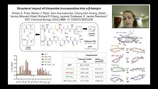 Structural impact of thioamide incorporation into a βhairpin [upl. by Lorenzana]