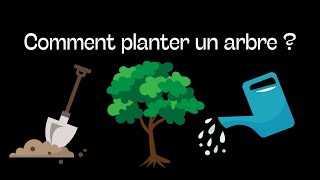 Comment planter un arbre [upl. by Htehpaj26]