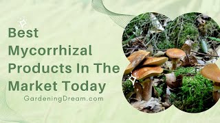 Best Mycorrhizal Products In The Market Today [upl. by Nisotawulo]