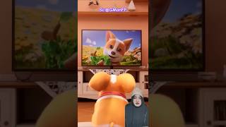 Moko jangan nonton tv terlalu dekat shorts funny cartoon comedy animation doll dog dubbing [upl. by Eneleuqcaj]