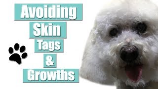 Skin Tags Growths amp Sensitive Skin On Dogs  Important Pet Grooming Tip [upl. by Rosemarie]