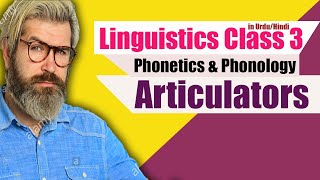 Articulators in Phonetics and Phonology  Linguistics  By Jadoon Sir [upl. by Niwhsa]