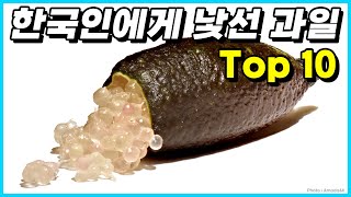 대부분의 한국인들이 접하기 힘든 생소한 과일 Top 10 [upl. by Atiniuq]