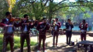 Mariachi Los Palmeros En Camecuaro Michoacan Las Estacas [upl. by Hasina24]