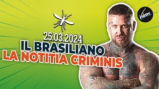 Il Brasiliano e la Notitia Criminis  La Zanzara del 25032024 [upl. by Nimref]