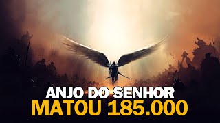 O anjo que matou 185 mil soldados  A VERDADEIRA HISTORIA [upl. by Manson]