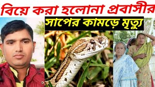 সাপের কামড়ে প্রাণ গেল প্রবাসীর  সাপ  রাসেল ভাইপার  Russells viper  Russell viper bite effect [upl. by Uolymme644]