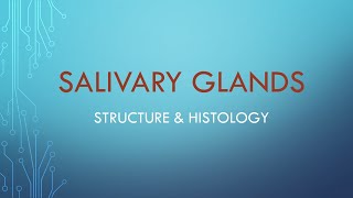 Salivary glands Structure amp Histology [upl. by Nomae]