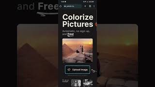 Colorize Pictures with Palettefms AI Colorizer  Palettefm Demo [upl. by Briant186]