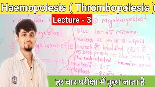 haemopoiesis notes  thrombopoiesis in hindi  thrombopoiesis notes thrombocytes [upl. by Yelrahc]