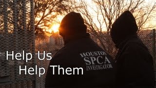 Help Us Help Them  Houston SPCA [upl. by Aneloaup]