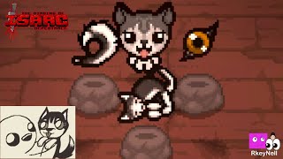 A Husky Dog in Isaac [upl. by Ahkos667]