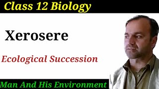 Xerosere Succession Class 12 Biology  Ecological Succession  Ecology [upl. by Aylat]