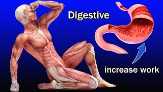 kegel exercise help digestive system work increase [upl. by Leoine]