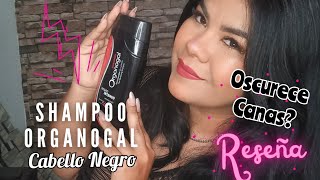 Reseña de Shampoo para cabello negro y oscurecedor de canas Organogal de Grisi [upl. by Budworth745]