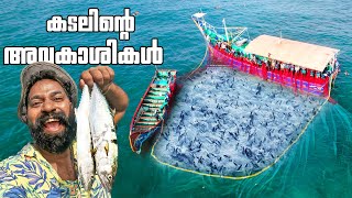 കടലിൽ മീൻ പിടിക്കാൻ കടലിന്റെ മക്കളുടെ ഒപ്പം  Sea Fishing  Day In My Life  M4 Tech [upl. by Gnart350]