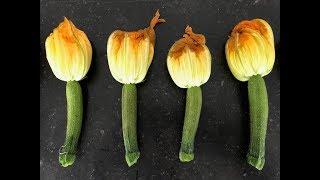 GEVULDE COURGETTEBLOEMEN [upl. by Skill51]