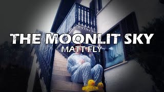 Matt Fly  The Moonlit Sky Official Music Video [upl. by Najar]