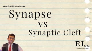 Synapse vs Synaptic Cleft [upl. by Halak]