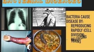 Communicable Diseases GCSE [upl. by Eldora261]