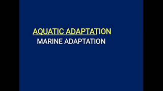 MARINE ADAPTATION  Introduction Characteristics Zonation Stratification Adaptation [upl. by Hniv923]