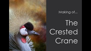 The Crested Crane Image [upl. by Rebeca819]