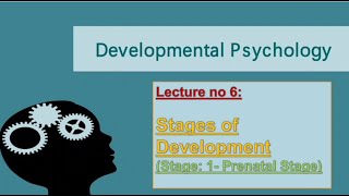 Stages of Development Prenatal Stage PsychologyUrduHindi [upl. by Sualokcin372]