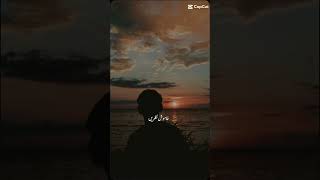 Mood😣 sorts sad emotional slowed love Capcut Viral fyp foryou [upl. by Akinna]