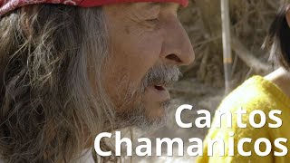 Cantos Chamánicos con Don Rafa [upl. by Novak]