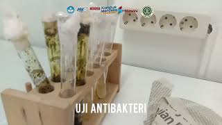 Proses Pembuatan Nanogel Ekstrak Daun GetihGetihan Rivina humilis UAD 2024 [upl. by Harbed]