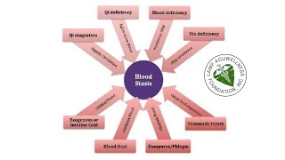 BLOOD STASIS PATTERN IDENTIFICATION [upl. by Erodoeht566]