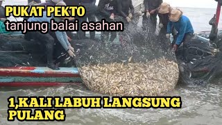 melihat hasil nelayan pelaut pukat pekto menangkap ikan tanjung balai Asahan [upl. by Zipah]