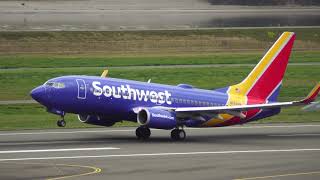 Southwest Boeing 737800 taking off [upl. by Heddy]