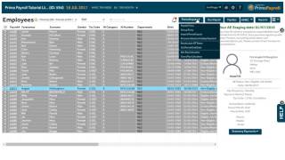 Primo Payroll  Period Inputs using Payslip Entry Screen 10 of 15 [upl. by Idnil619]