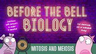 Mitosis and Meiosis Before the Bell Biology [upl. by Shaer]