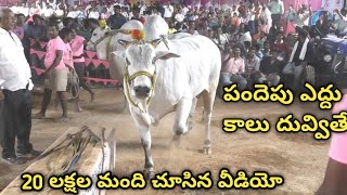 మిస్ యు రా బుల్లెట్ నీలాంటి గిత్తను మళ్ళీ మేము కోర్టులో చూడలేమునువ్వు కోర్టులోకి వచ్చేటప్పుడు రాజసం [upl. by Nuyh]