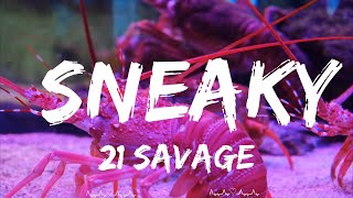 21 Savage  sneaky  Soren Music [upl. by Leila592]