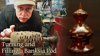 44 Woodturning a Banksia Pod Nut with Bronze Infill  Trypophobia [upl. by Tobe749]