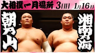 大相撲 朝乃山ー湘南乃海 ＜令和６年一月場所・３日目＞SUMO [upl. by Pratt]