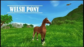 STAR STABLE UPDATED Welsh Pony GAITS amp INFO [upl. by Nudnarb]