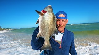 Catching CAPE STUMPNOSE STEENBRAS and A Decent Size GALJOENGaljoen Season Closing Soon [upl. by Belldame]